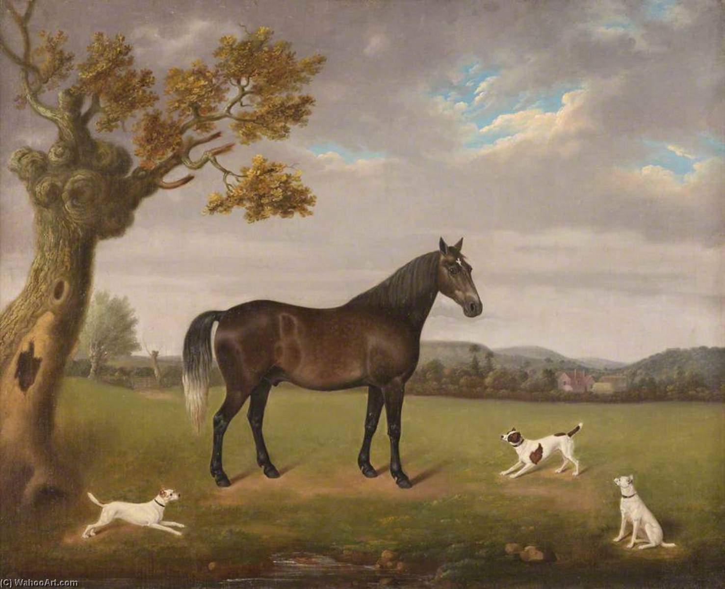 Horse In A Field With Three Dogs — Edmund Ward Gill