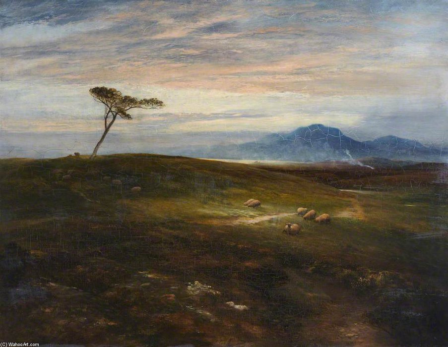 Dawn On A Scottish Moorland — Džordž Harvi
