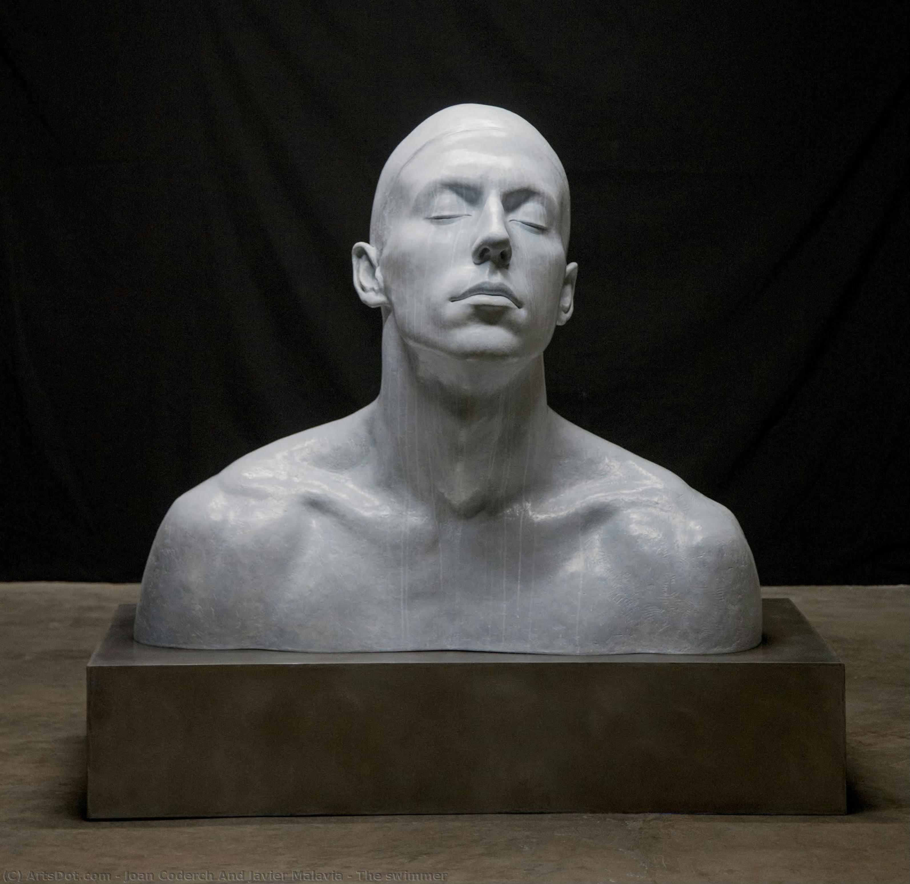 The Swimmer — Joan Coderch And Javier Malavia
