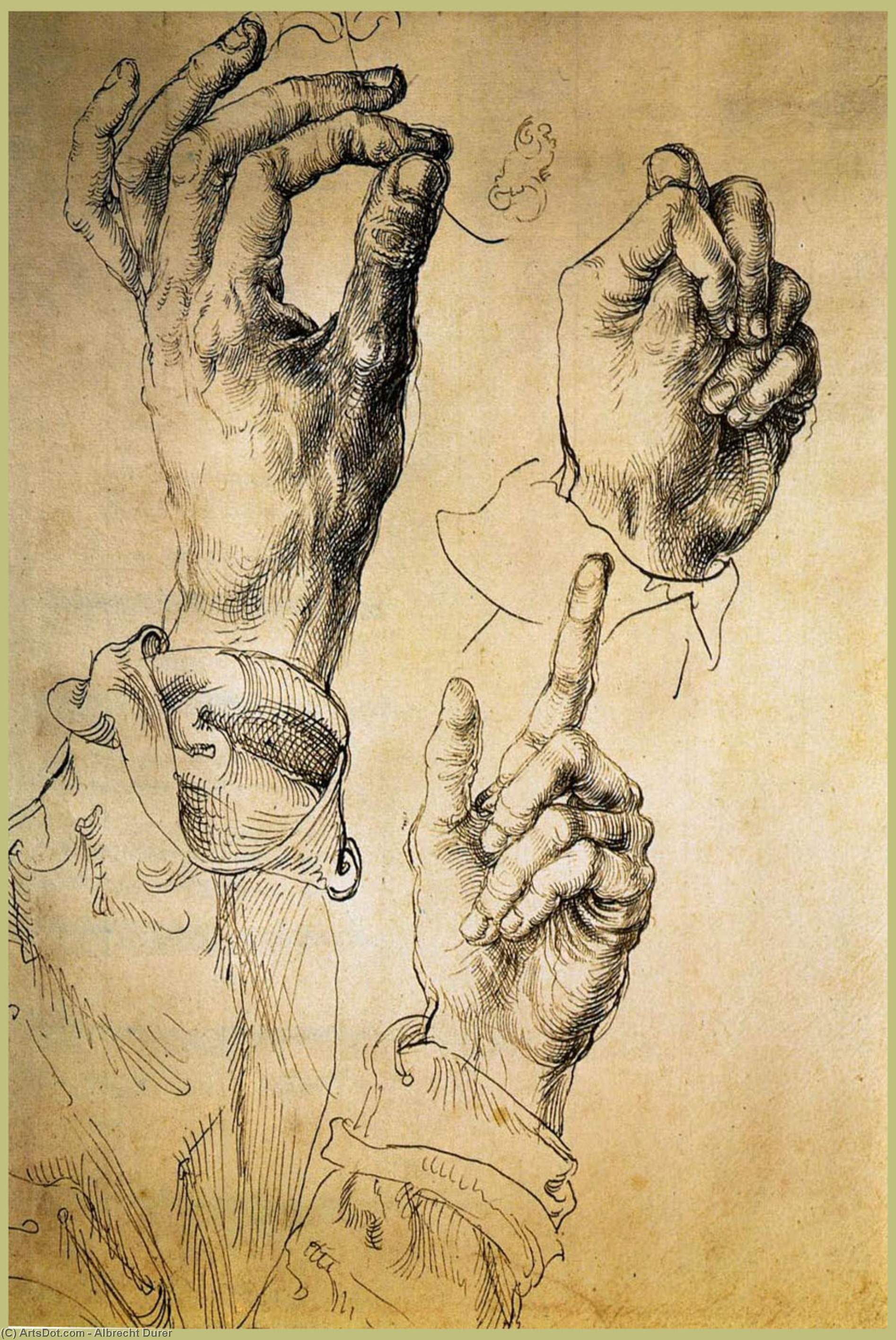 Study Of Three Hands — Альбрехт Дюрер