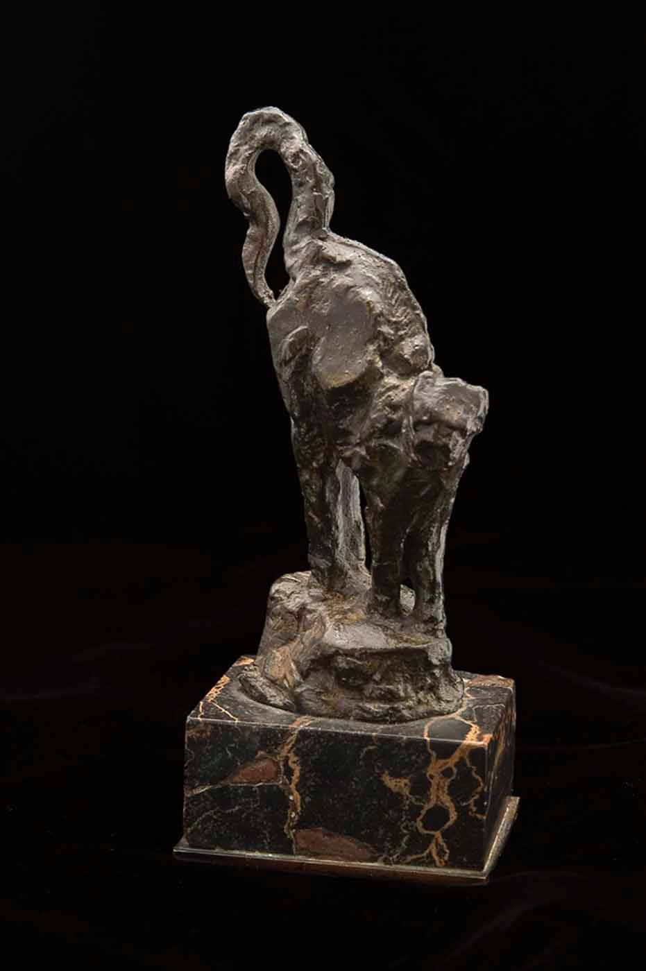 Cat With Back Up — Alberto Laessle
