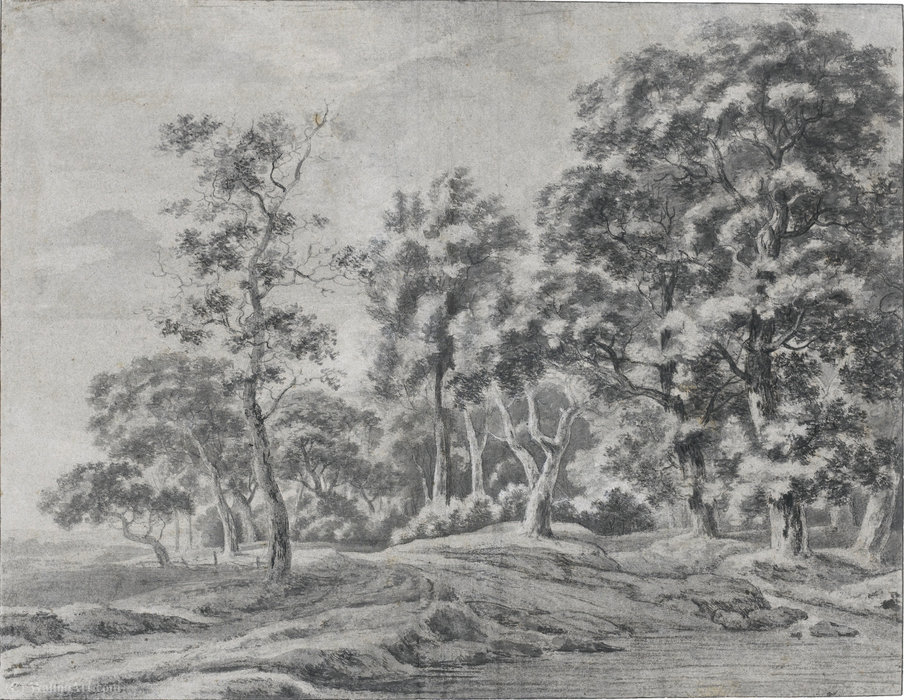 A View Of A Forest With A Path Next To A Stream — Jacob Esselens