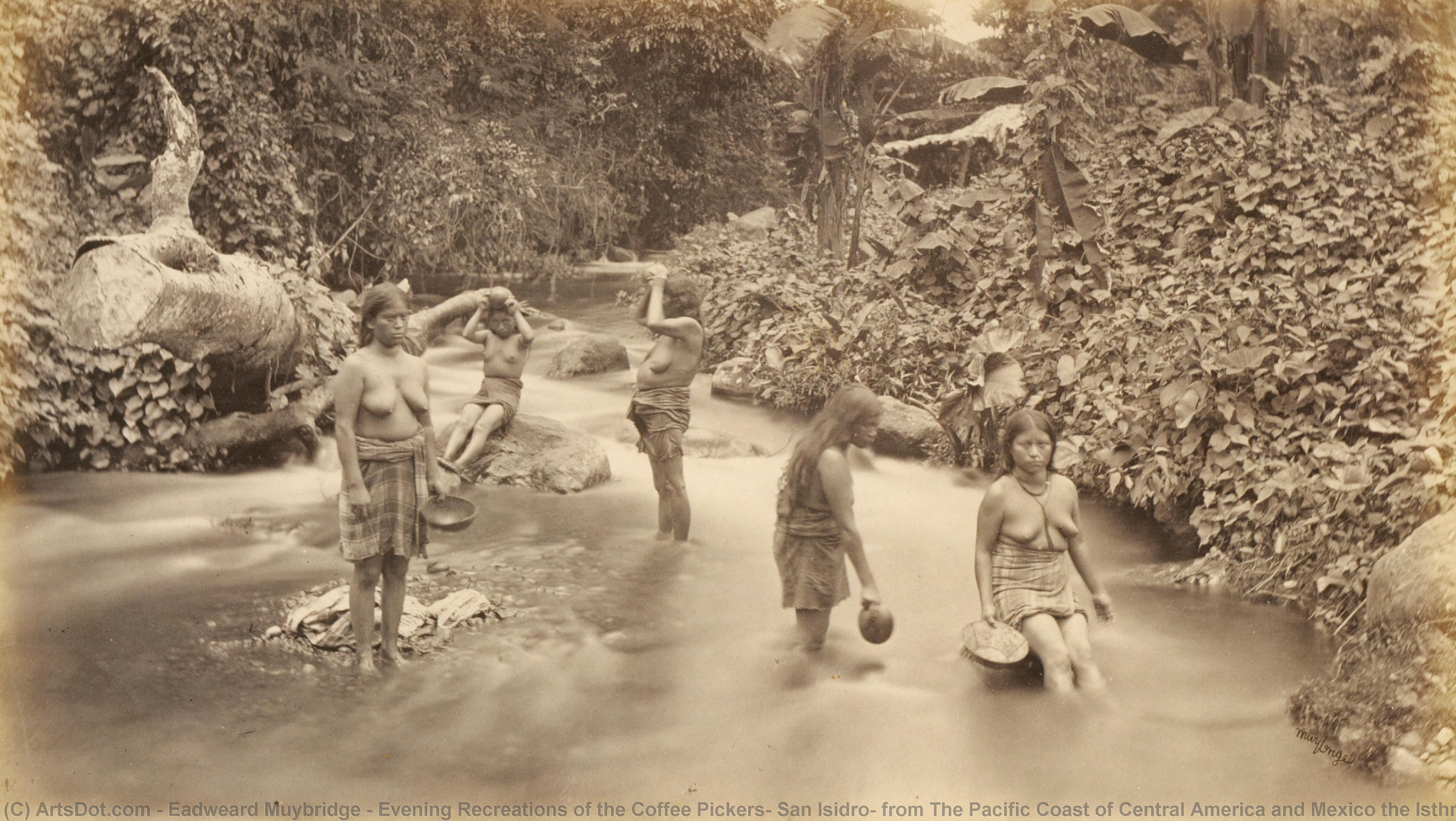 Evening Recreations Of The Coffee Pickers, San Isidro, From The Pacific Coast Of Central America And Mexico The Isthmus Of Panama Guatemala And The Cultivation And Shipment Of Coffe — Eadweard J Muybridge