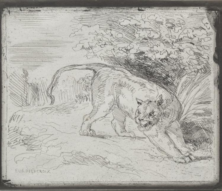 A Trapped Tiger — Ежен Делакроа