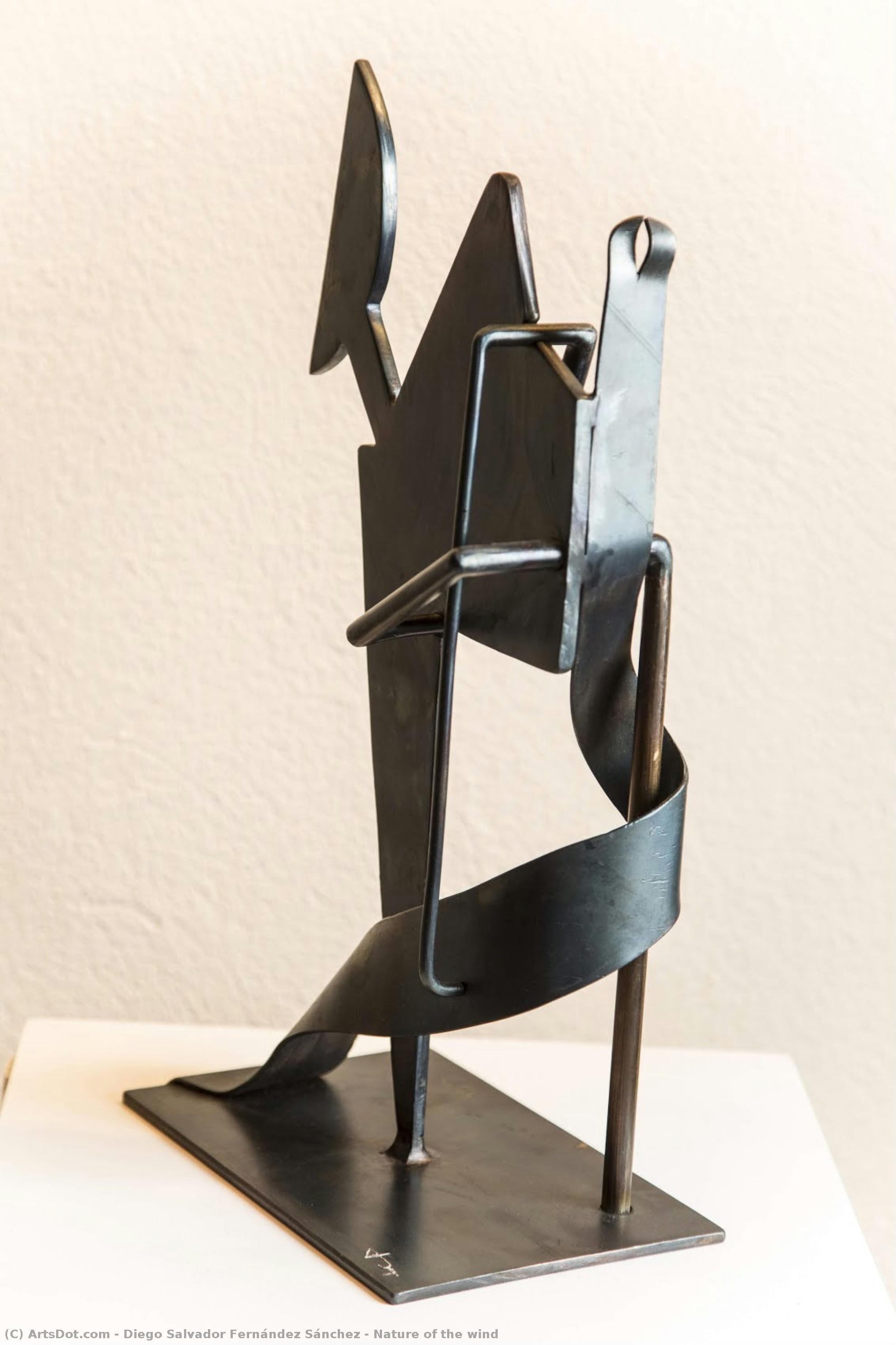 Nature Of The Wind — Diego Salvador Fernández Sánchez