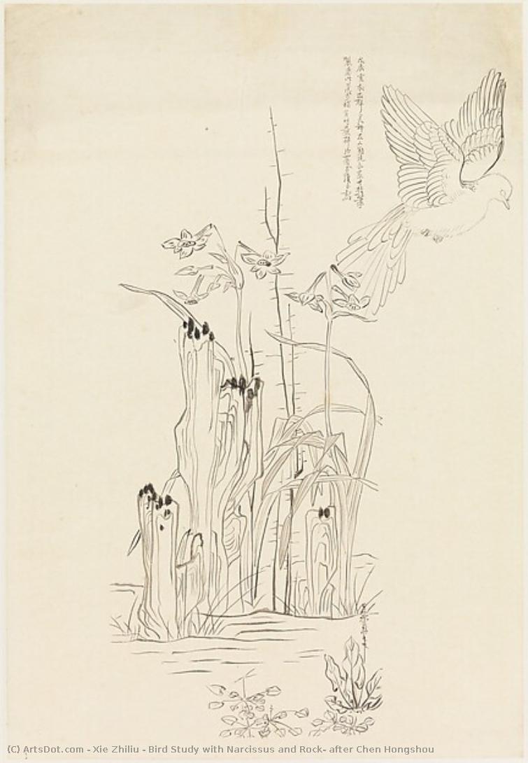 Bird Study With Narcissus And Rock, After Chen Hongshou — Xie Zhiliu