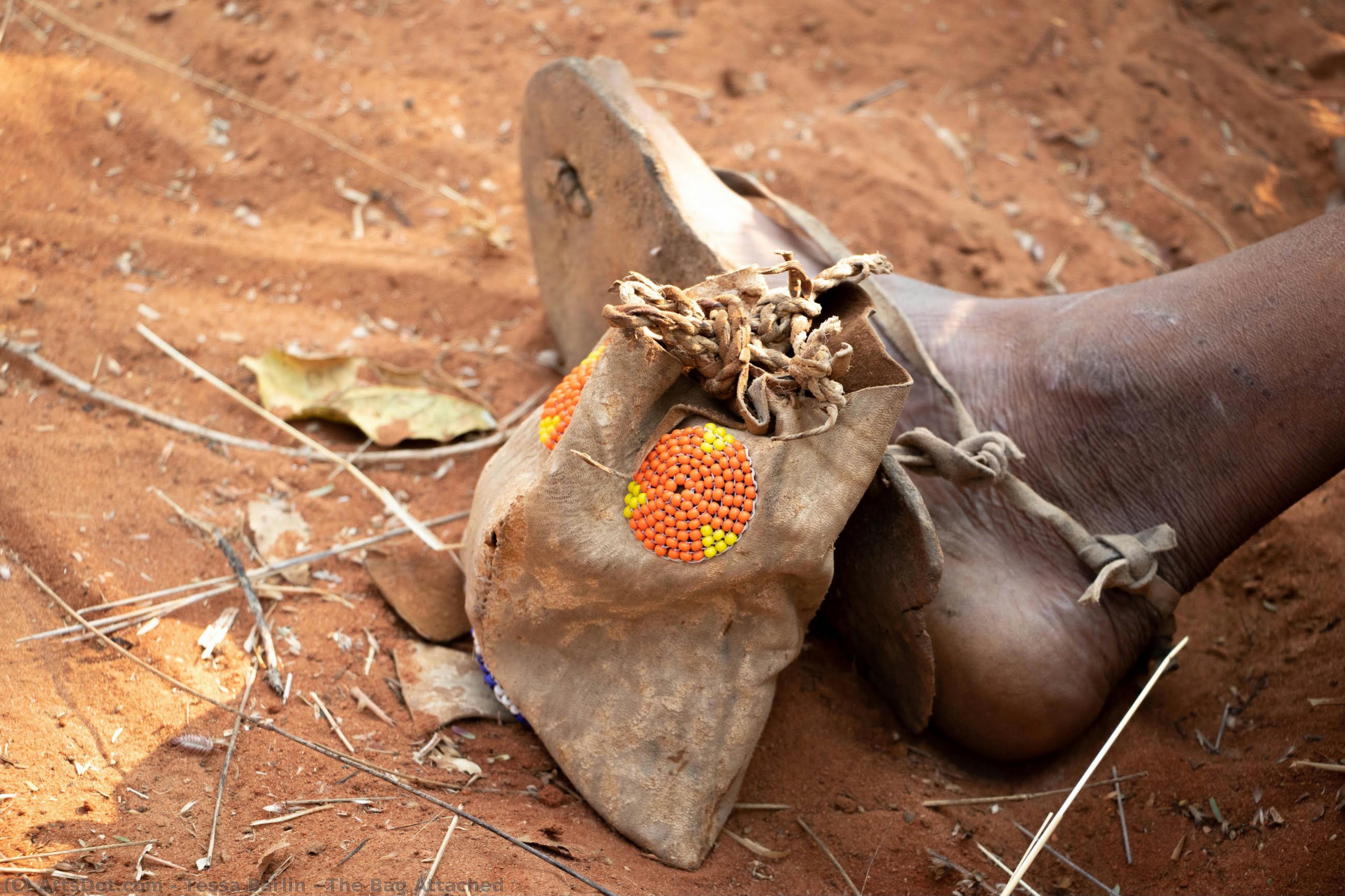The Bag Attached — Tesa Barlin