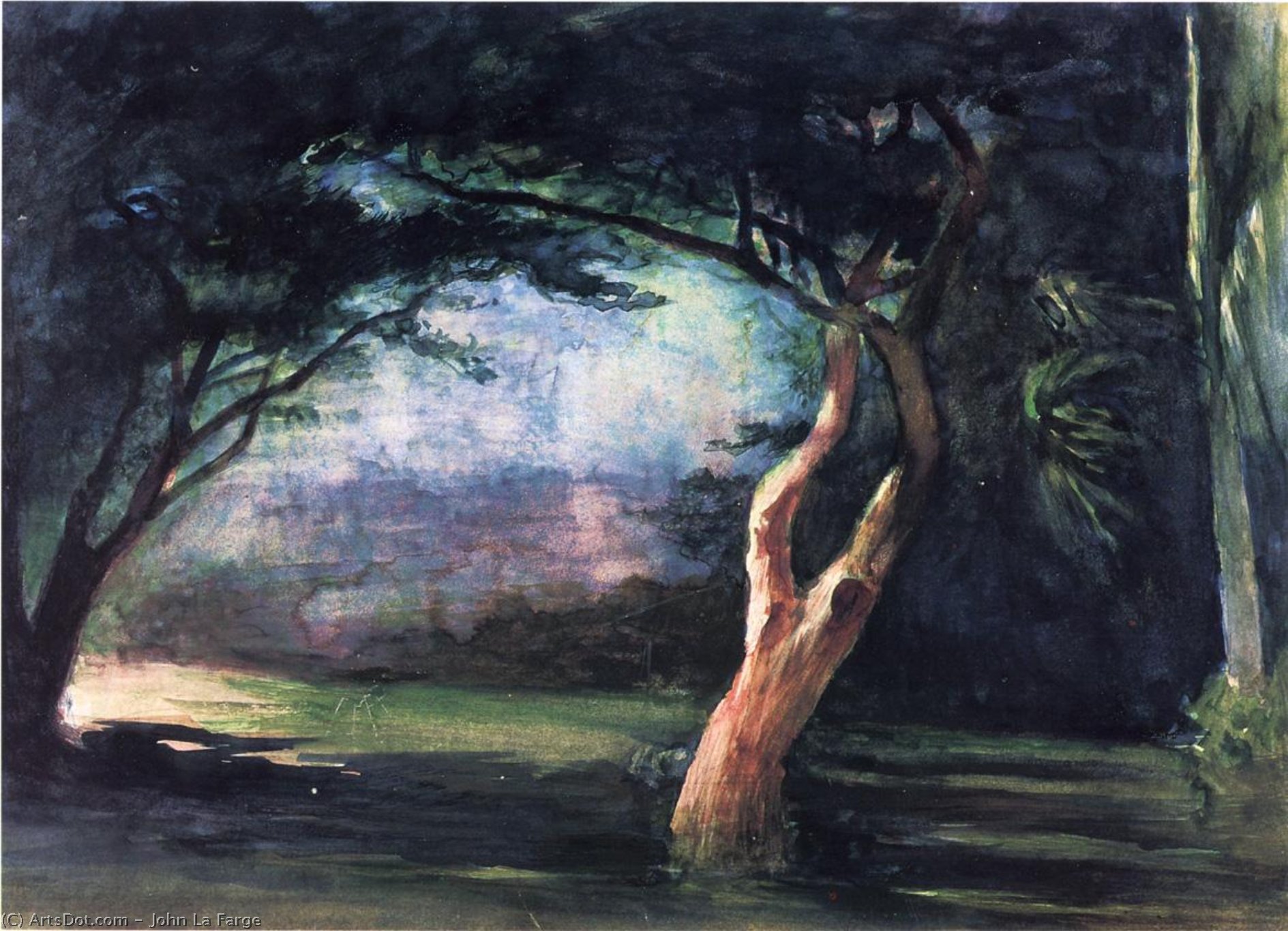 Study Of Trees In Moonlight, At Honolulu — ジョン・ラ・ファージ