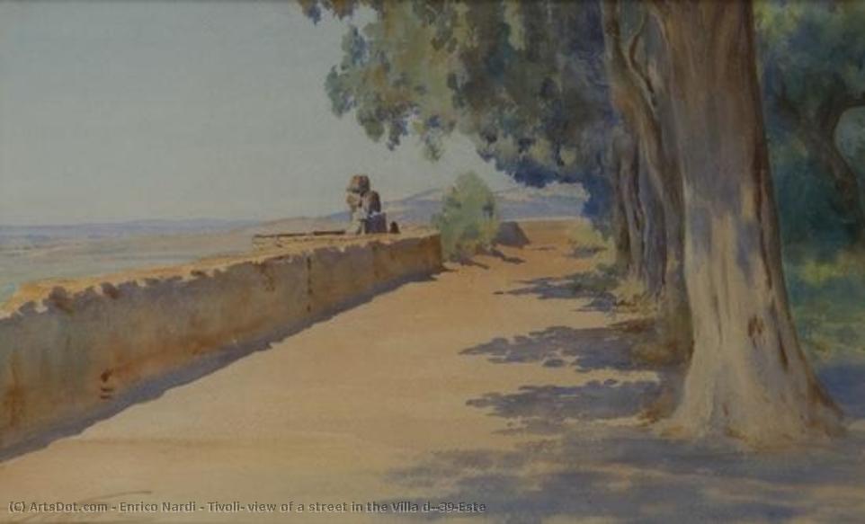Tivoli, View Of A Street In The Villa D'este — Enrico Nardi