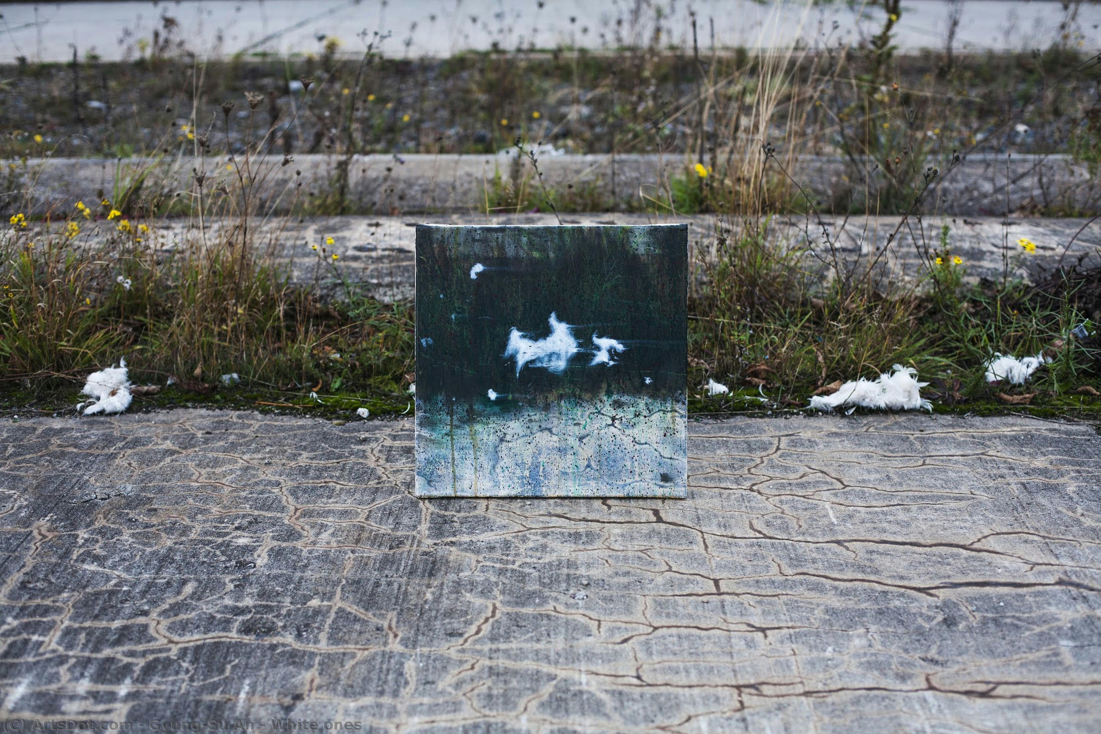 White Ones — Gyung-su An