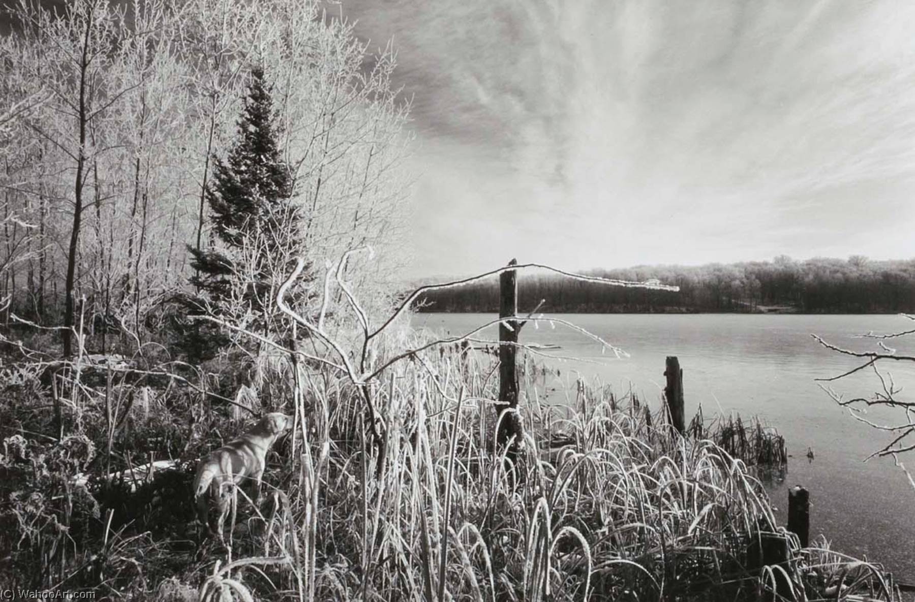 Early Winter Landscape, Wisconsin — Joseph D Jachna
