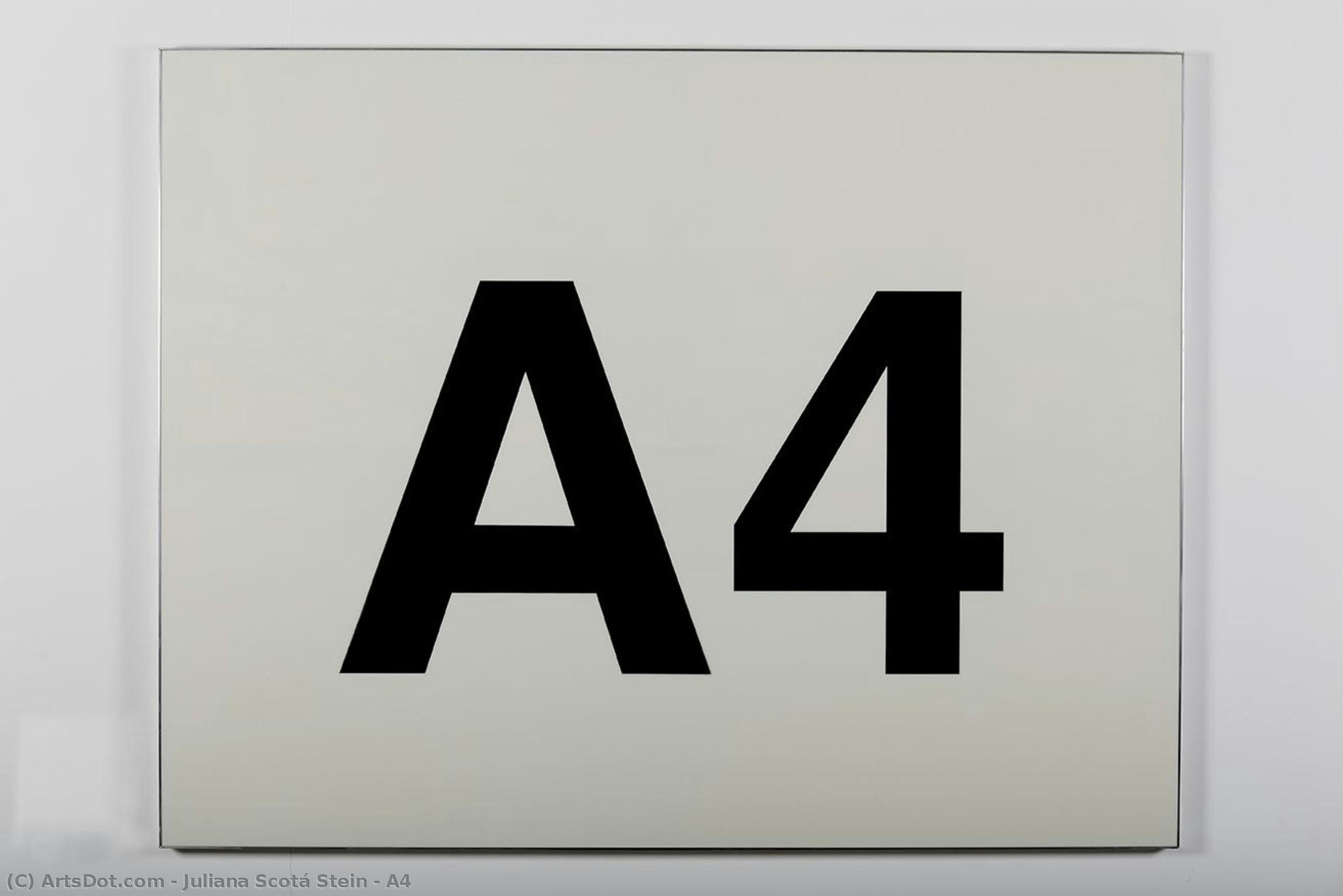 A4 — Juliana Scotá Stein