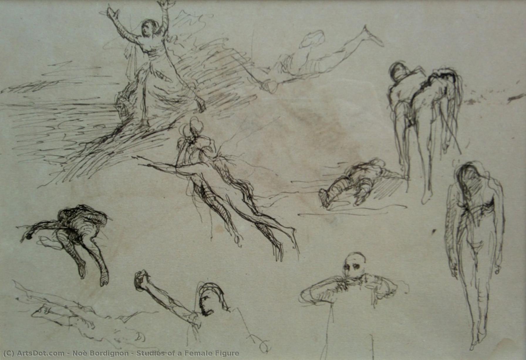 Studies Of A Female Figure — Noè Bordignon