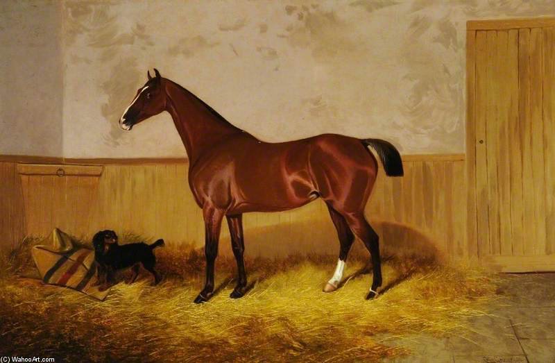 Study Of A Horse — Colin Graeme Roe