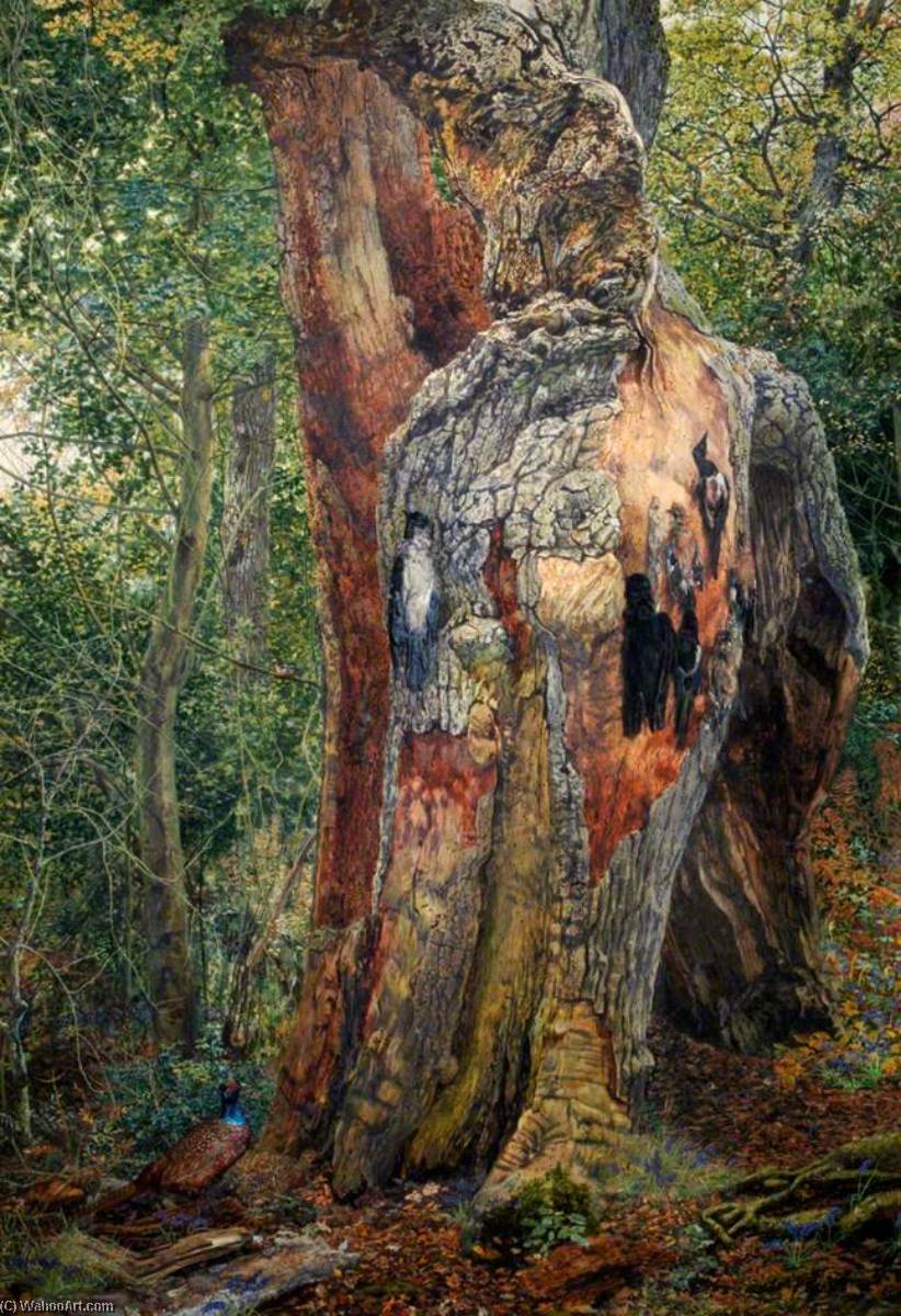The Oldest Oak In The Greenwood — Martin Snape