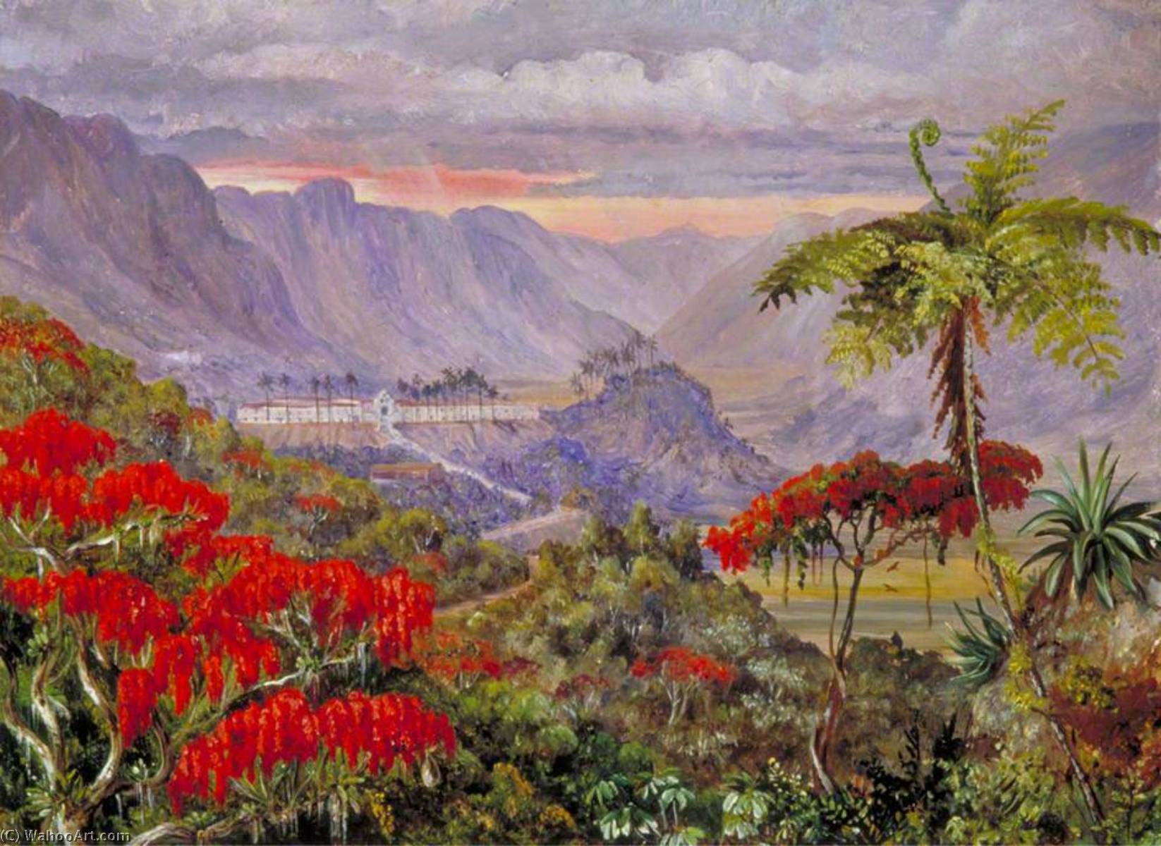 Blick Auf Das Jesuitenkolleg Von Caracas, Minas Geraes, Brasilien — Marianne North