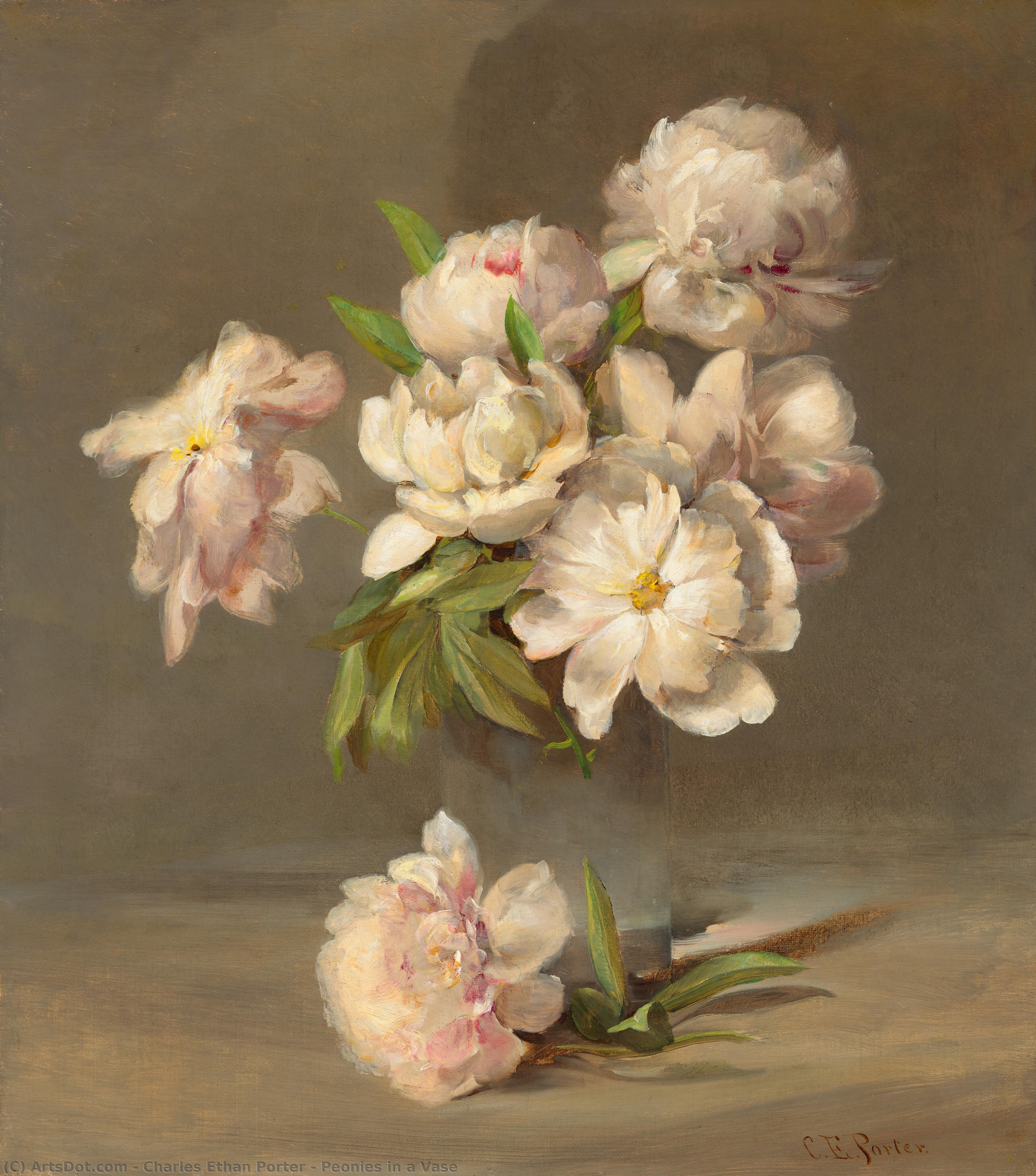Peonies In A Vase — Charles Ethan Porter