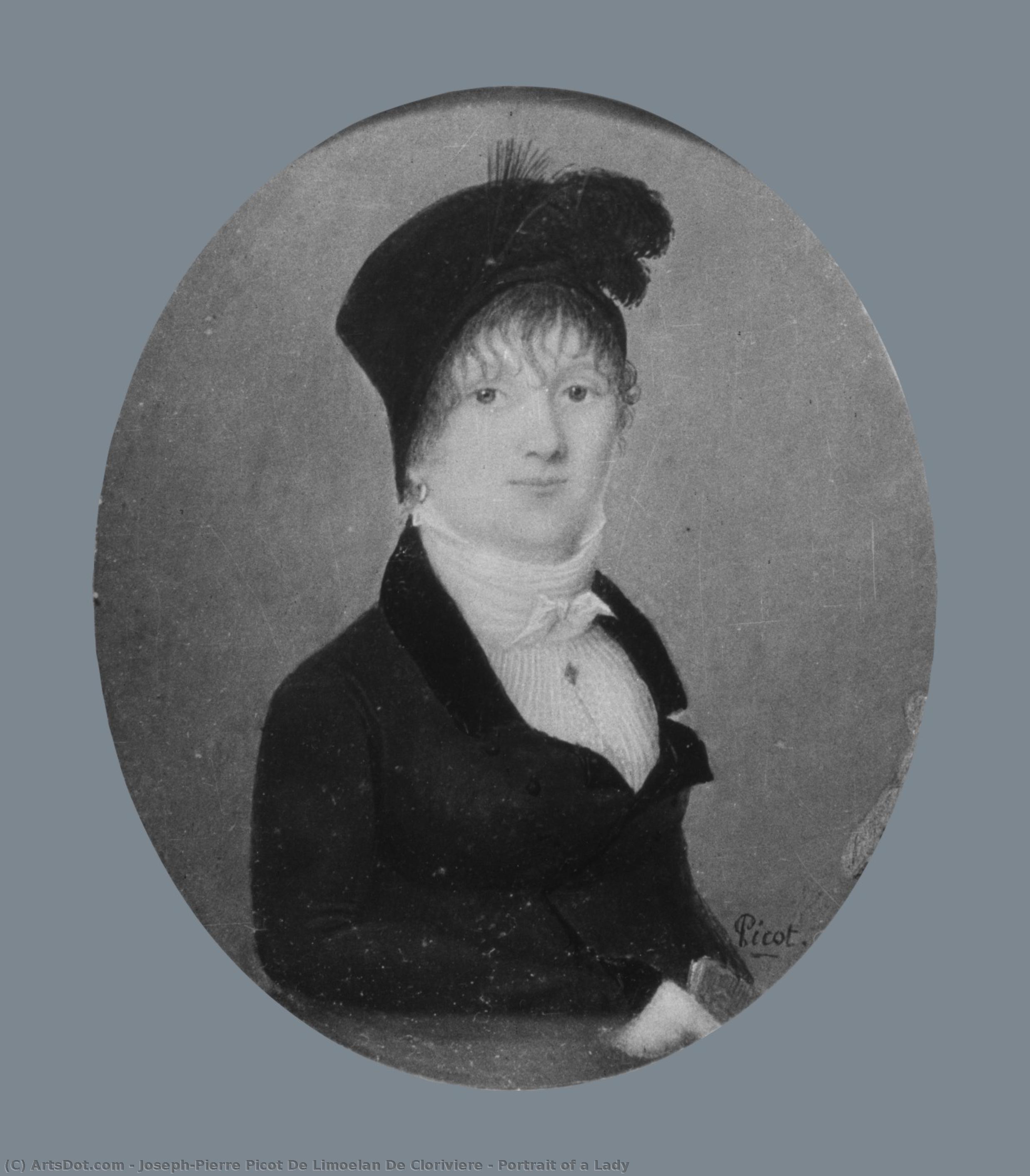 Portrait Of A Lady — Joseph-pierre Picot De Limoëlan De Clorivière