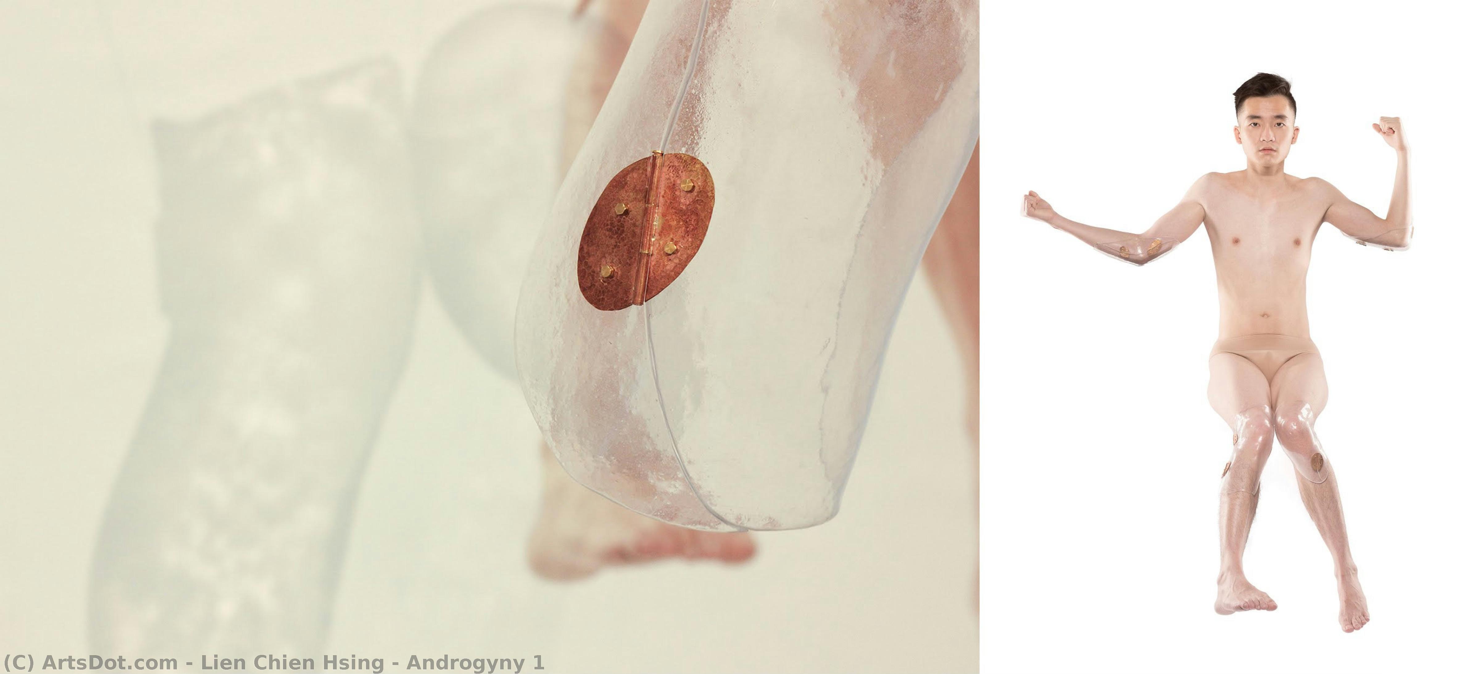 Androgyny 1 — Lien Chien Hsing