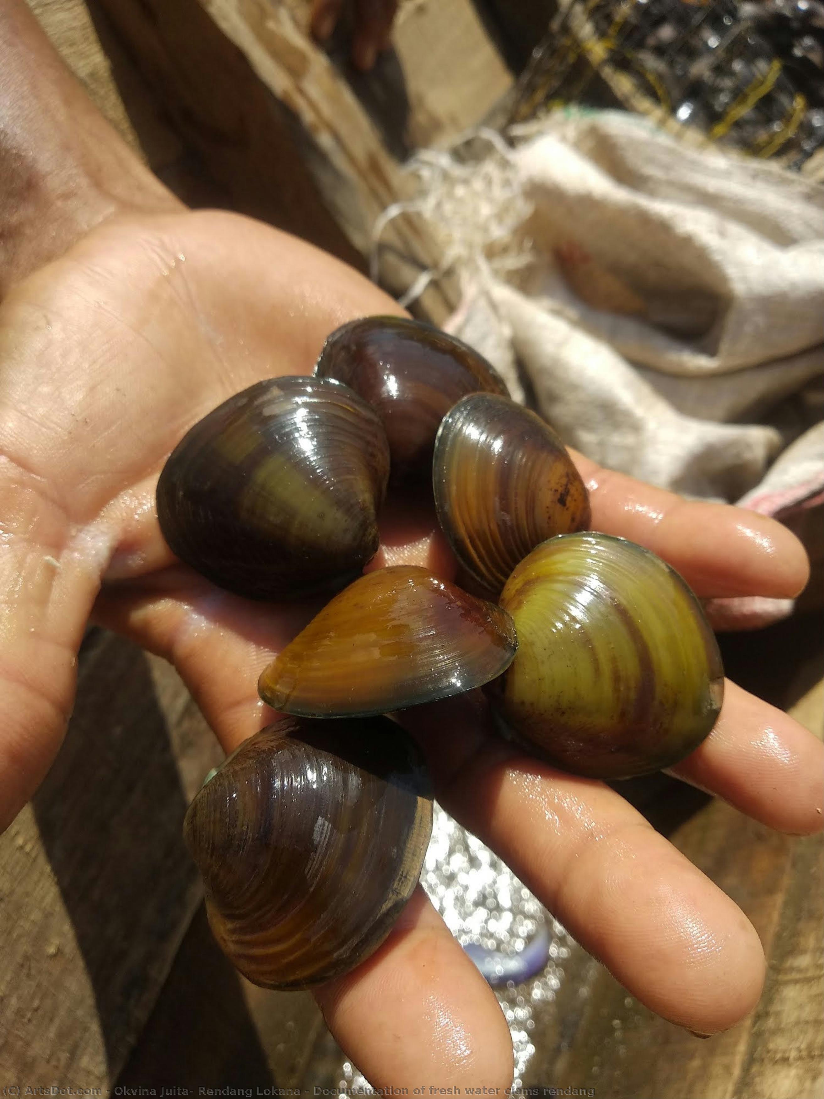 Documentation Of Fresh Water Clams Rendang — Okvina Juita, Rendang Lokana