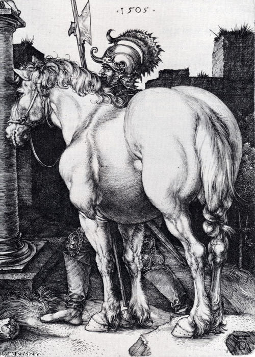 The Large Horse — Albrecht Dürer