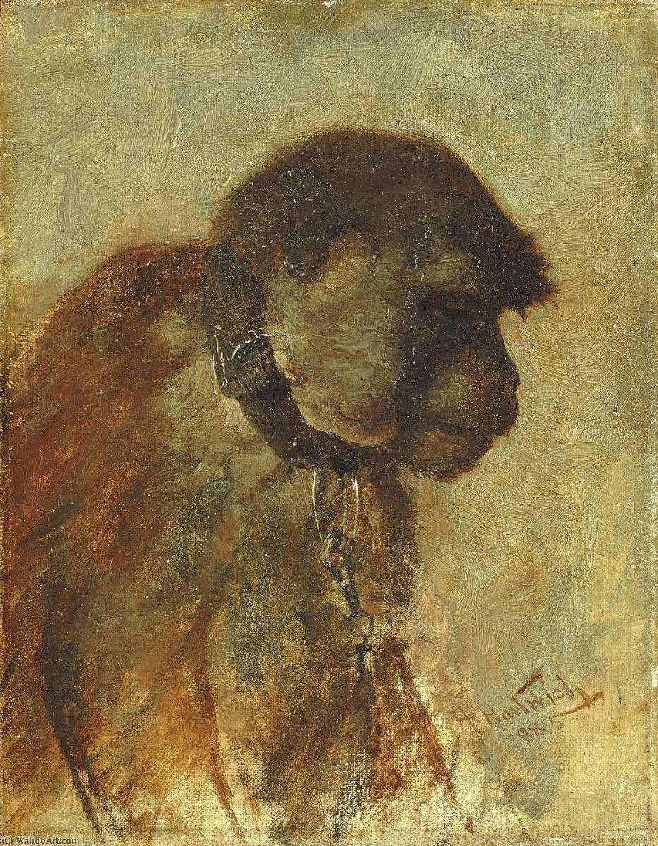 Meditation — Herman Hartwich