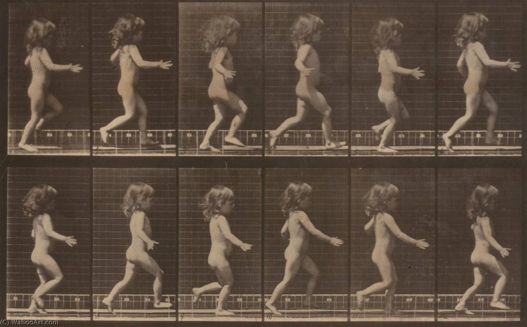 Child Running, From The Book Animal Locomotion — Eadweard J Muybridge