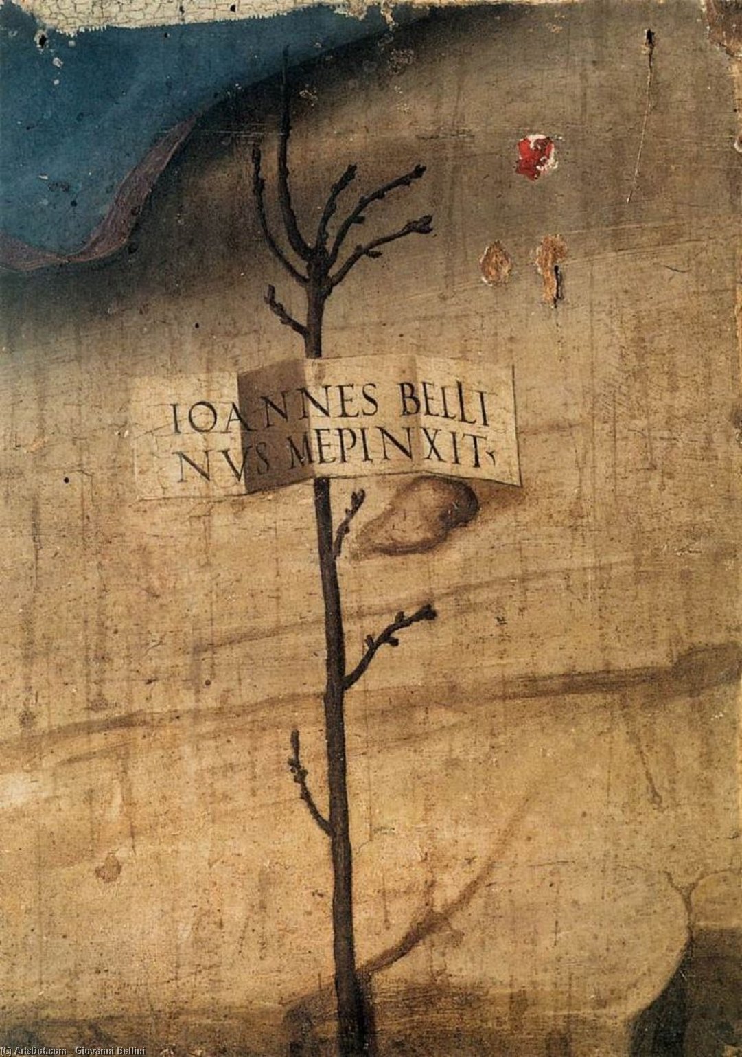 Kleiner Baum Mit Inschrift (fragment) — Giovanni Bellini (giambellino)
