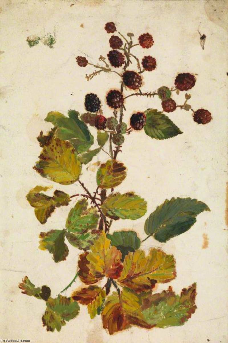 Blackberries — Beatrix Whistler