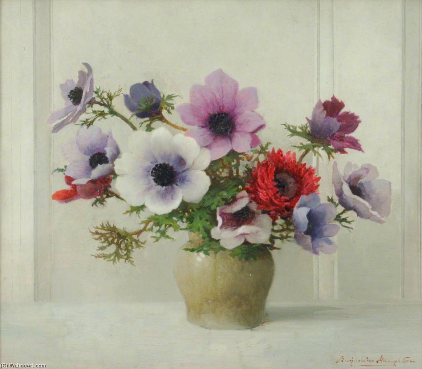 Anemones — Benjamin Haughton