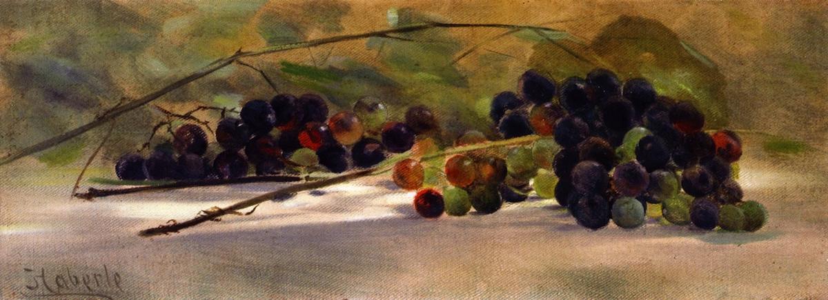 Grapes On A Ledge — John Haberle