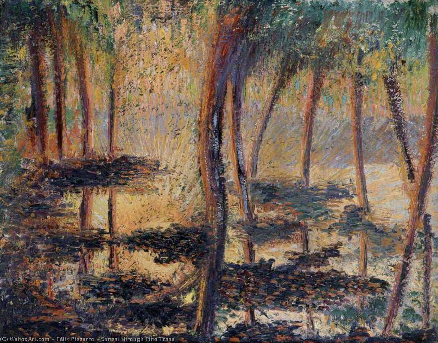 Sunset Through Pine Trees — Félix Pissarro
