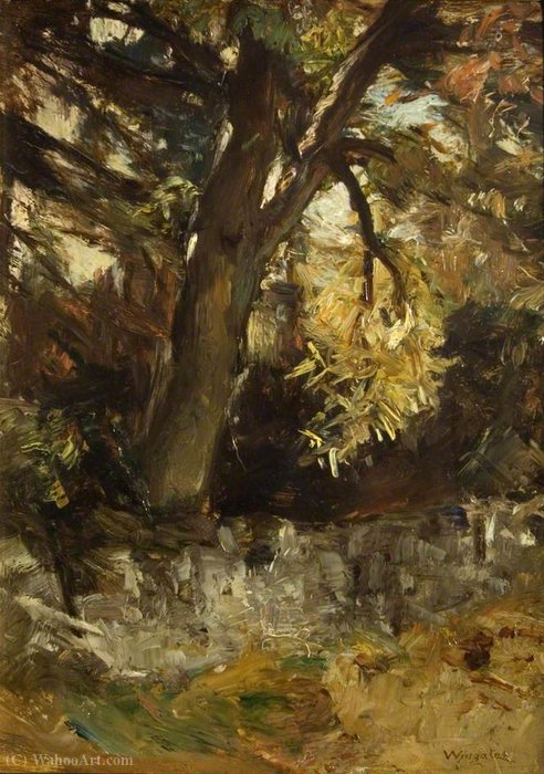 Study Of A Tree — James Lawton Wingate
