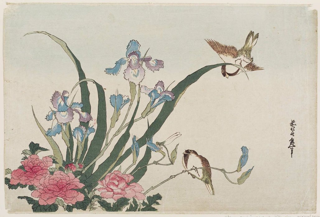 Iris, Peonies, Sparrows, And Dragonfly — Katsushika Hokusai