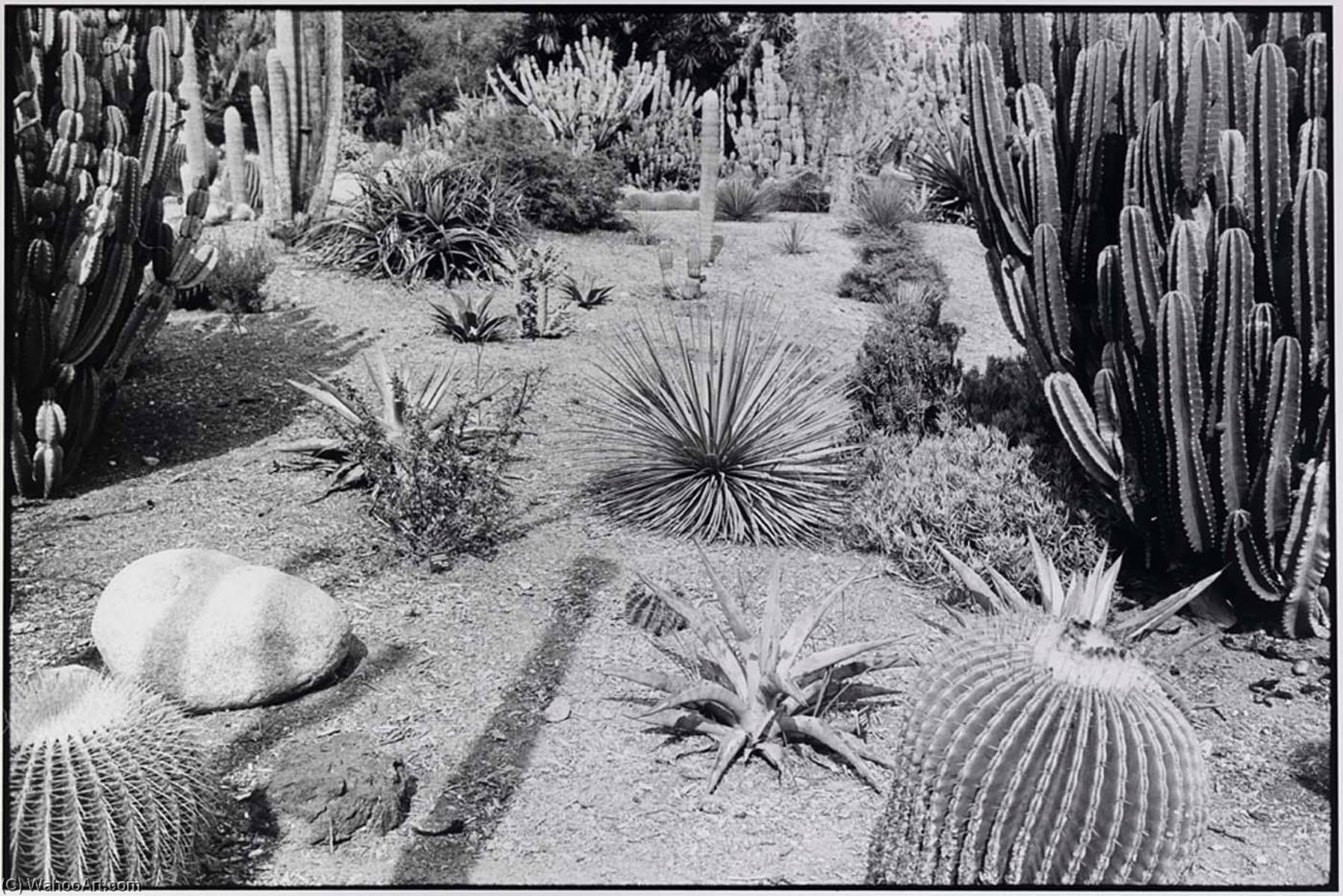 Huntington Gardens, California — John Ralph Gossage