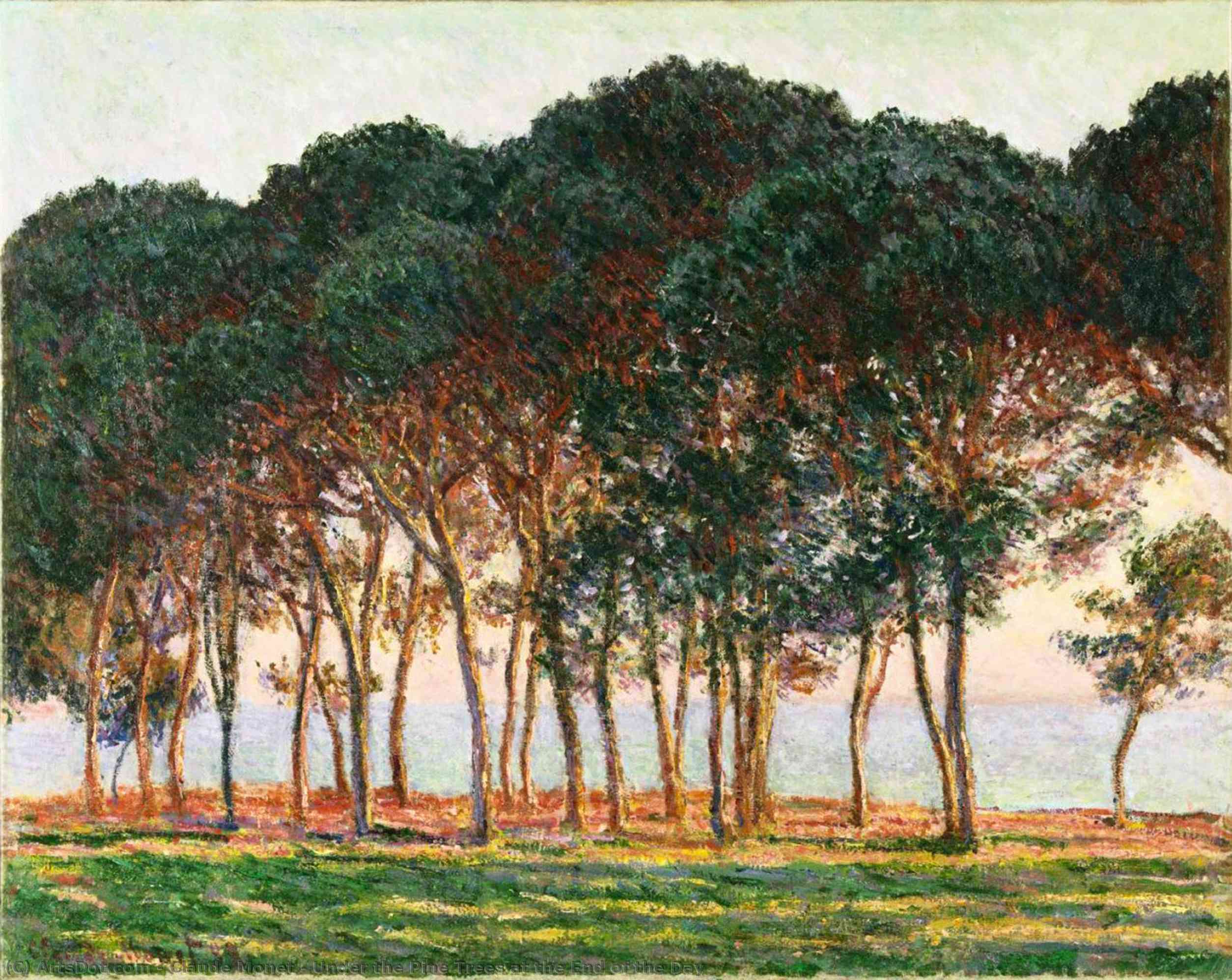 Bajo Los Pinos Al Final Del Día — Claude Monet