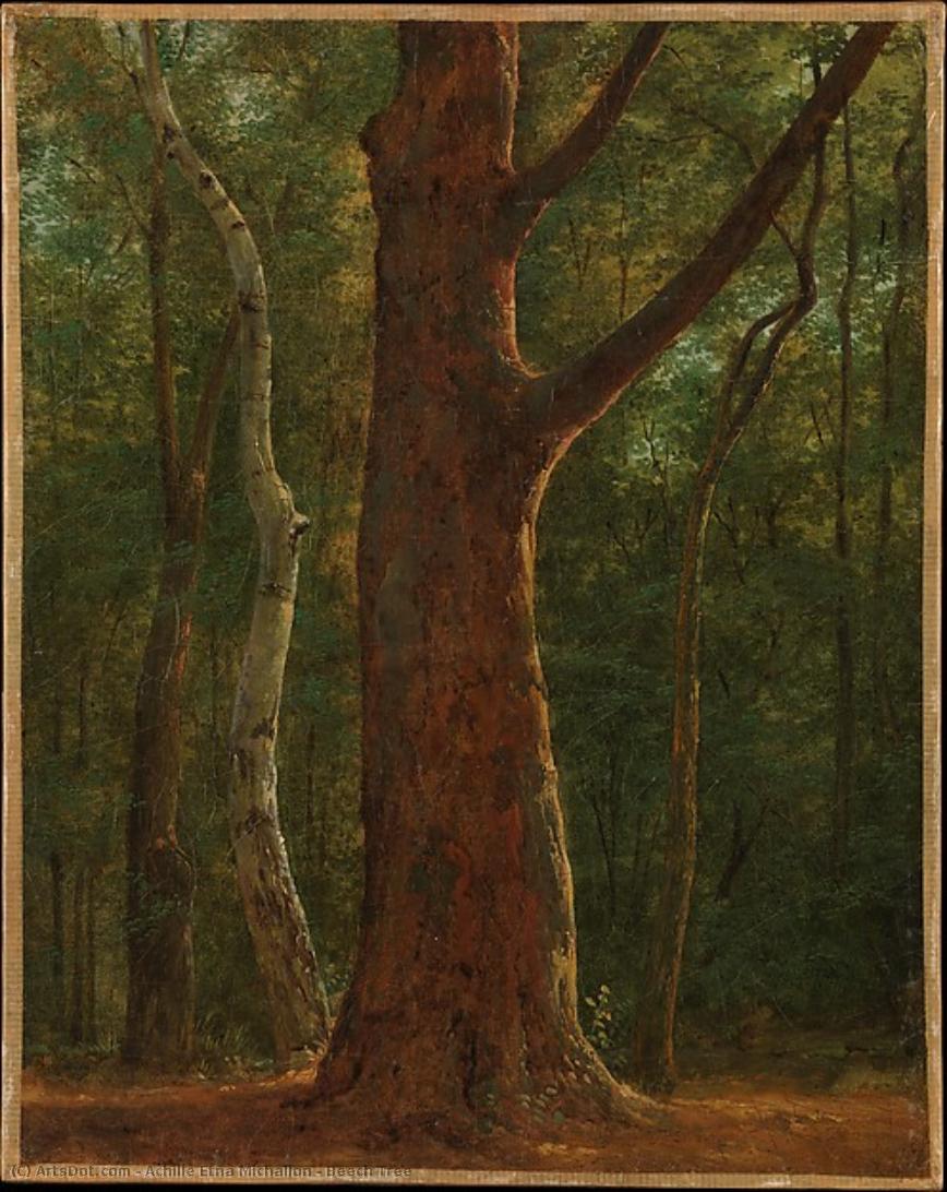 Beech Tree — Achille Etna Michallon