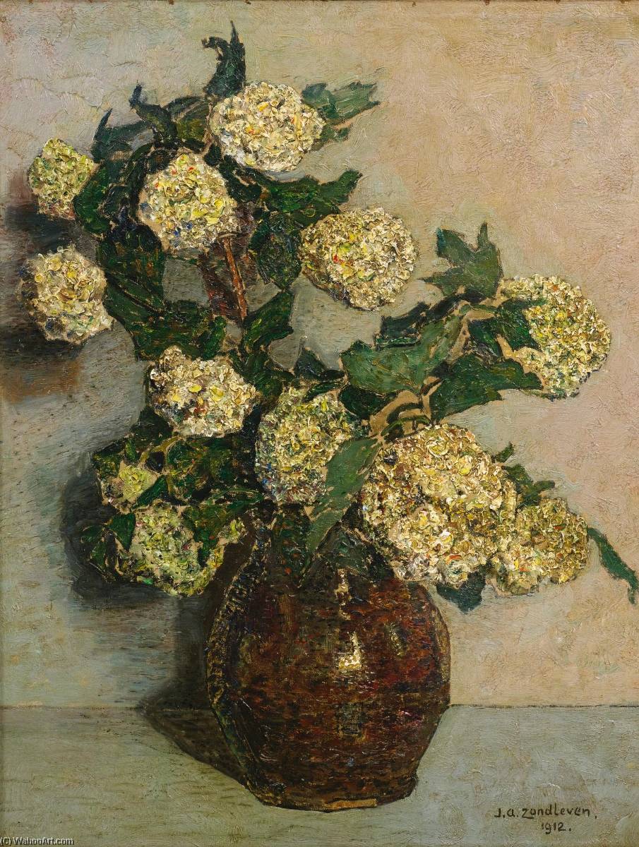 Sneeuwballen — Jan Adam Zandleven