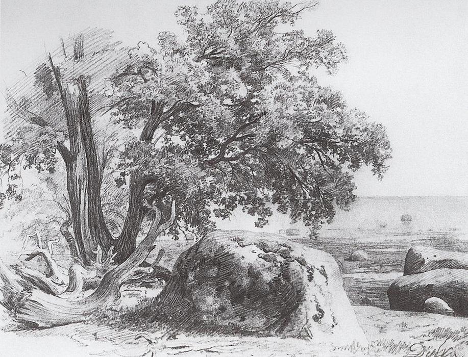 Oak On The Shore Of The Gulf Of Finland — Ivan Ivanovich Shishkin