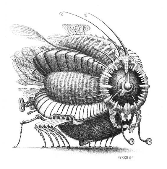 Fly Alarmowka — Яцек Йерка