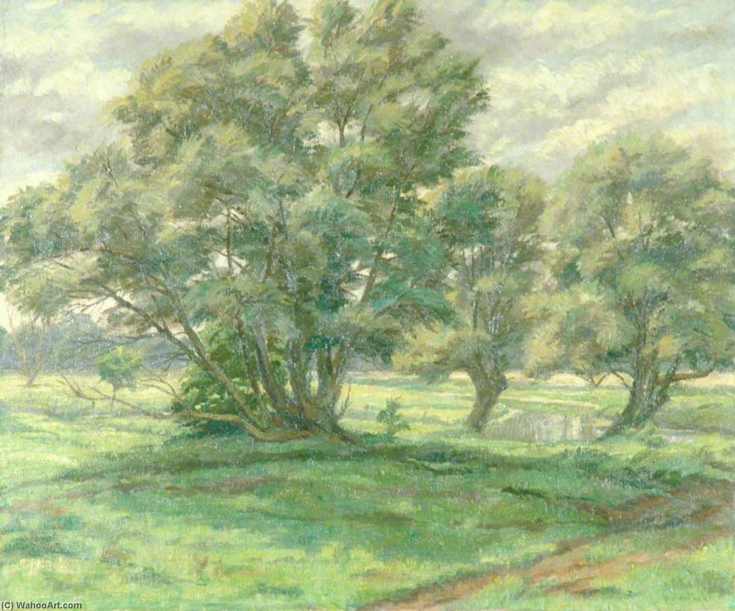 Suffolk Willows — Donald Ewart Milner