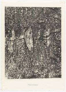 Live Water And Stones (eau Vive Et Pierres) From The Portfolio Waters, Stones, Sand (eaux, Pierres, Sable) From Phenomena (les Phénomènes) — Jean Philippe Arthur Dubuffet