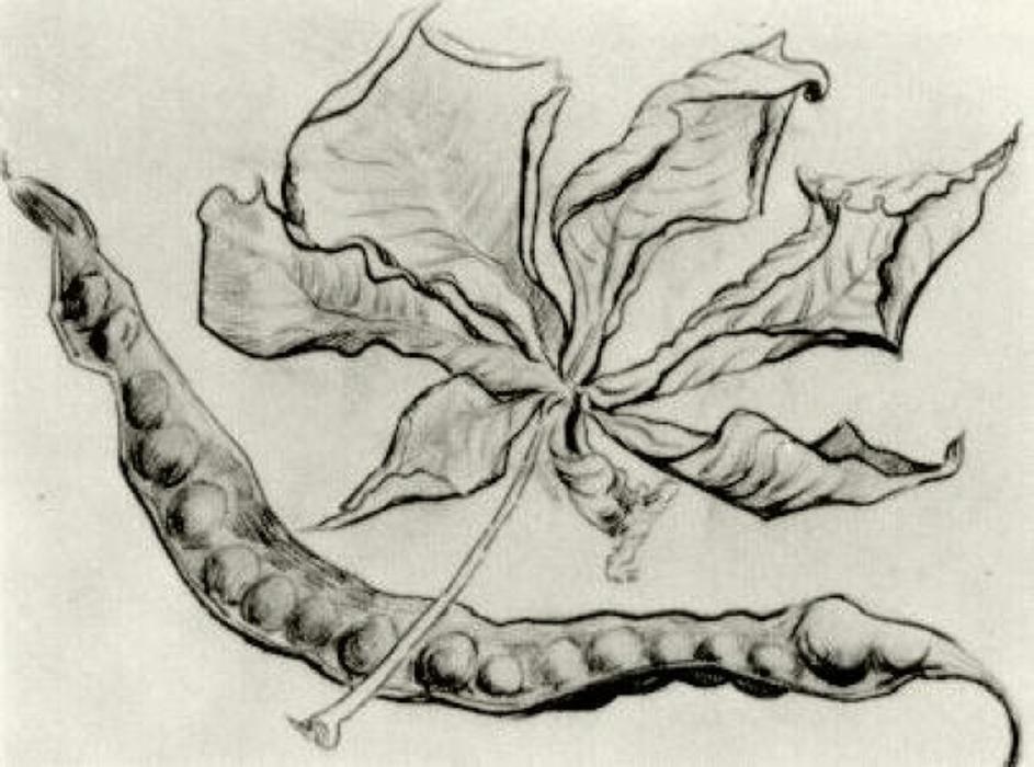 Dead Leaf And Pod — Vincent Van Gog