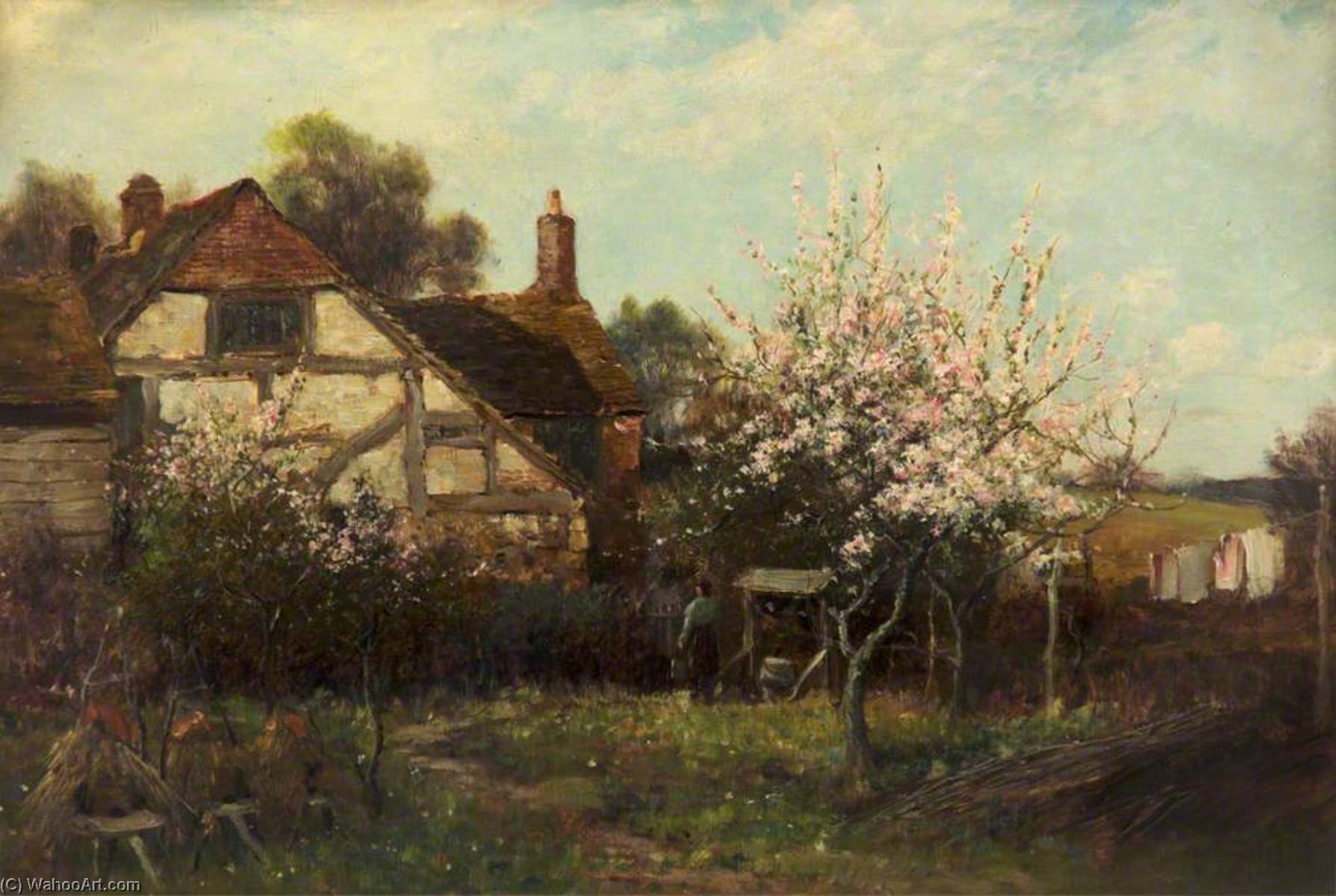 The Orchard — Richard Wane