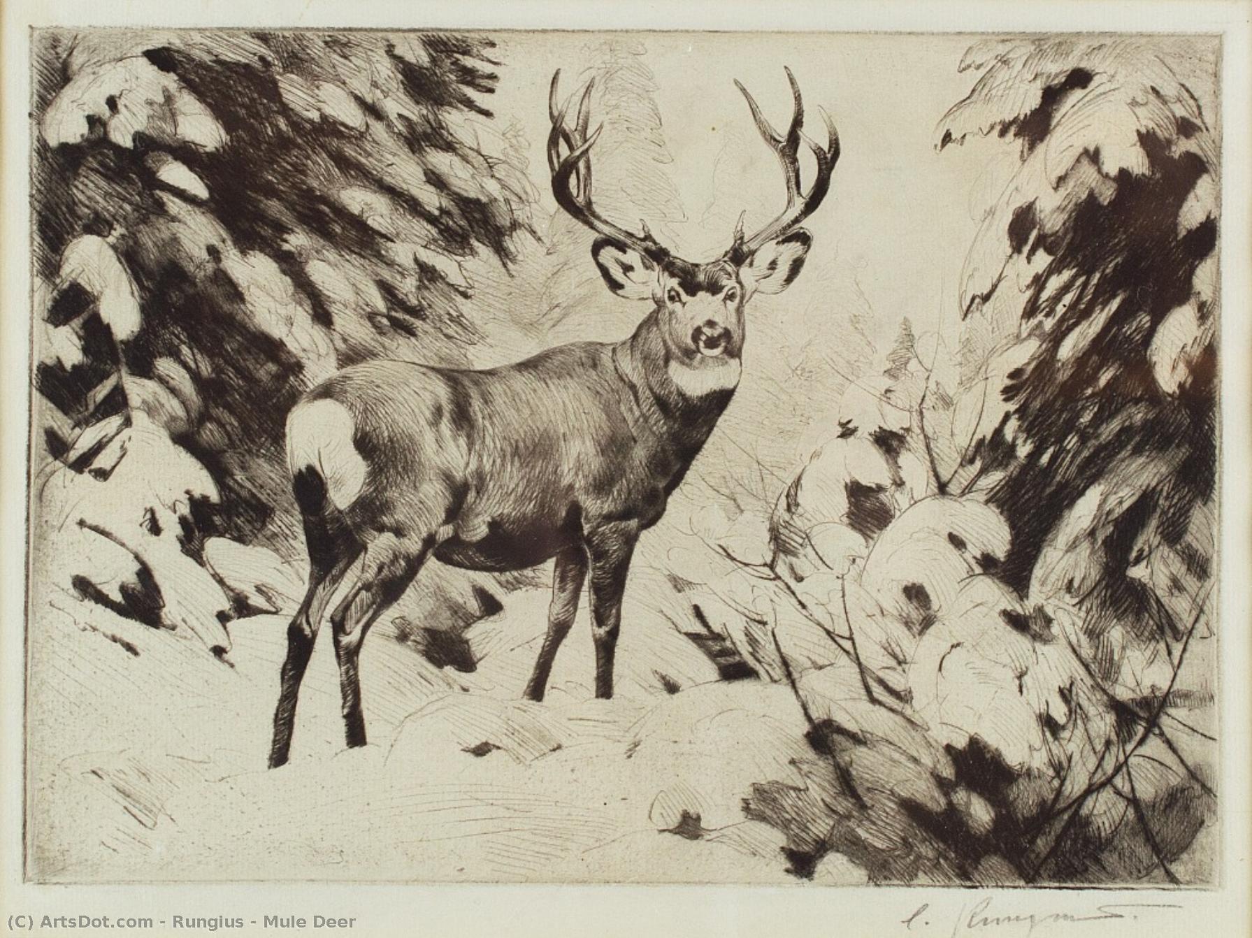 Mule Deer — Carl Clemens Moritz Rungius