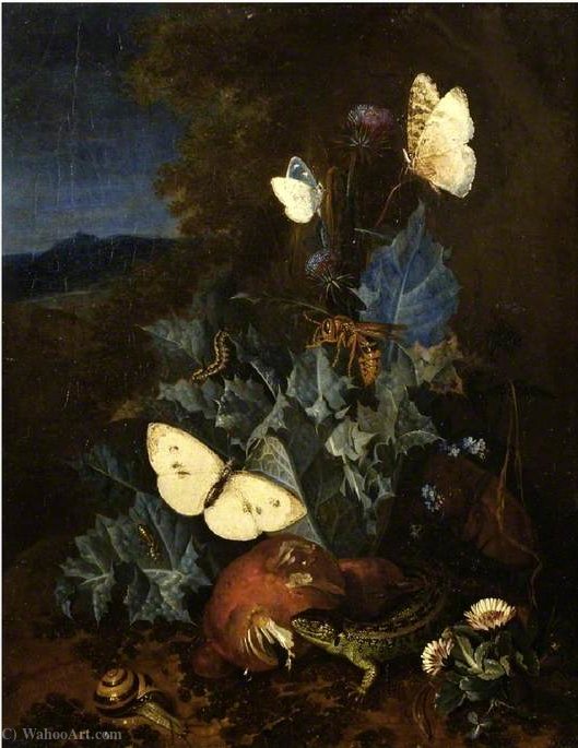 Still Life With A Thistle, Boletus, Snail, Lizard, Butterflies And A Bee In A Landscape — Elias Van Den Broeck