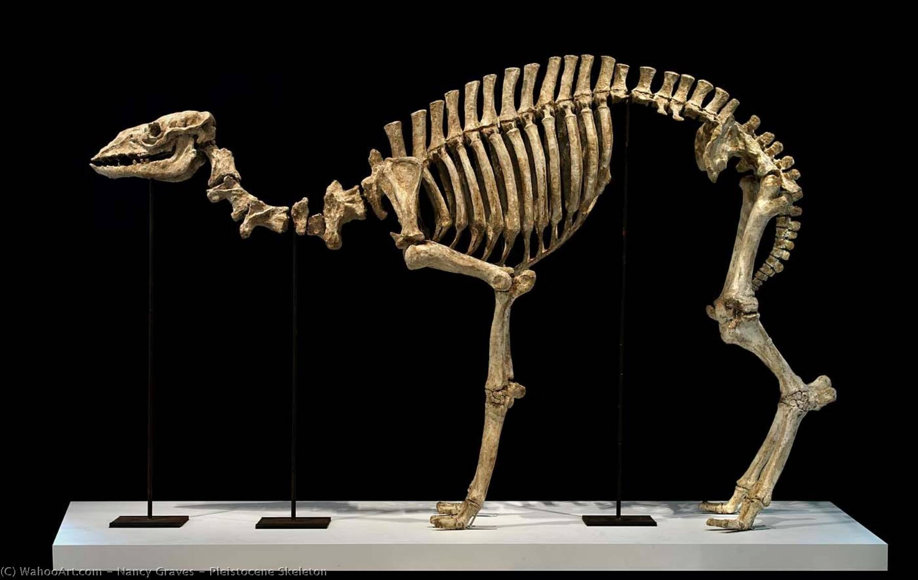 Pleistocene Skeleton — Nancy Graves