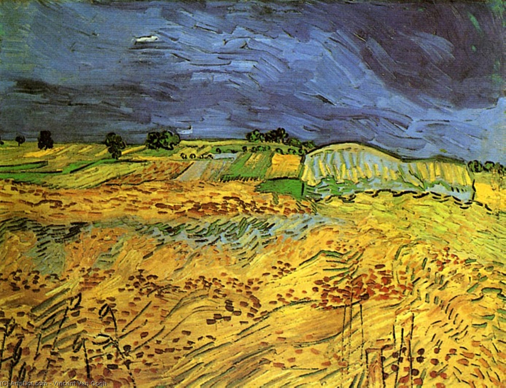 Поля — Vincent Willem Van Gogh
