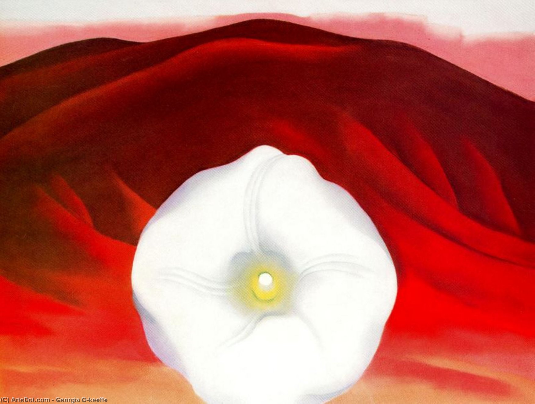 Red Hills And White Flower — Georgia O'keeffe