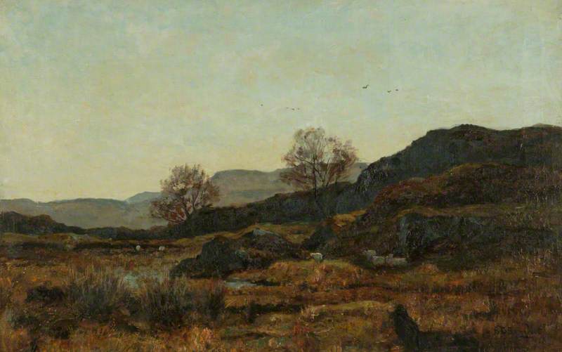 Evening — Richard Gay Somerset